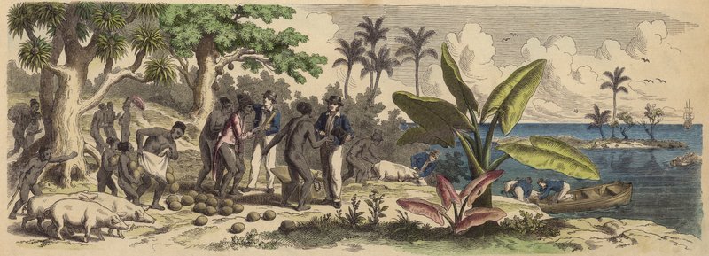 Île du Pacifique - German School