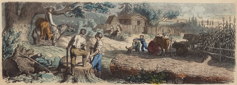 Une nouvelle colonie dans l