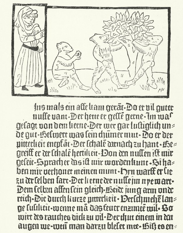 Une scène du livre 