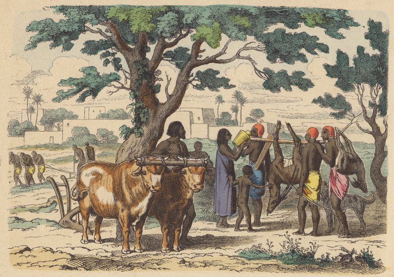 Agriculteur et chasseurs égyptiens anciens (gravure en couleur) - German School
