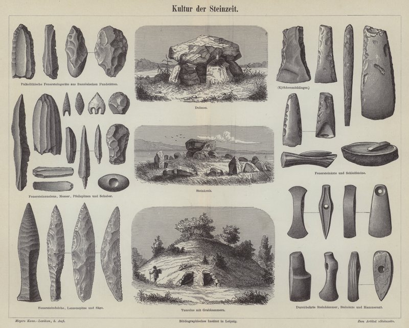 Culture de l