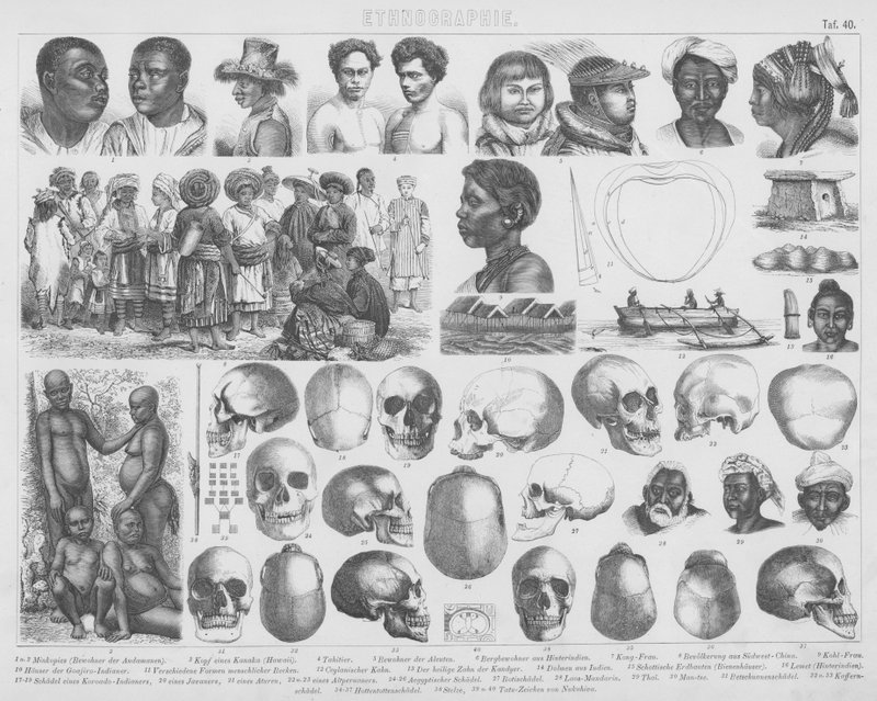 Illustration pour Bilder-Atlas : Races et crânes - German School