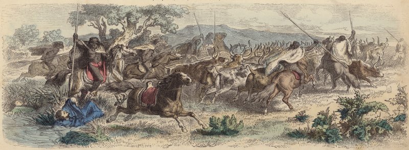 Indiens surprenant des Gauchos dans les Pampas et s