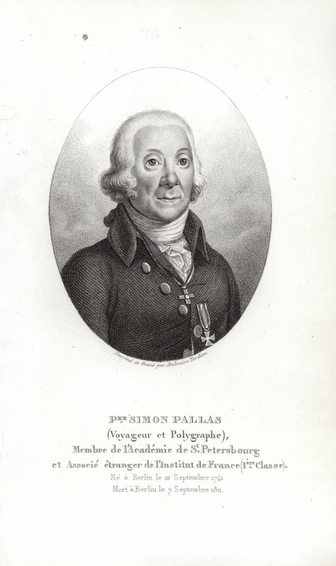 Peter Simon Pallas - German School