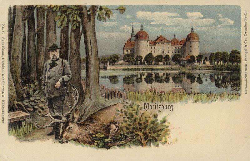 Carte postale représentant un homme avec un cerf abattu avec le château de Moritzburg en arrière-plan - German School
