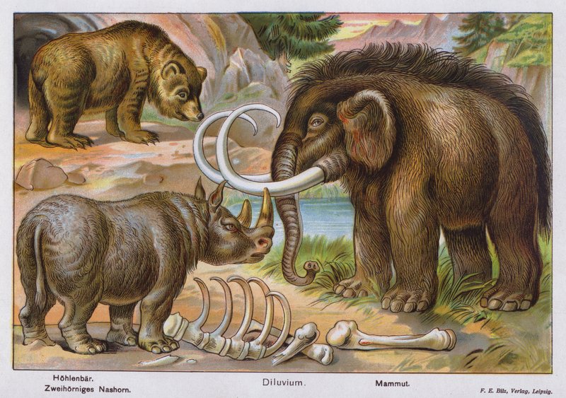 Mammifères préhistoriques (lithographie couleur) - German School