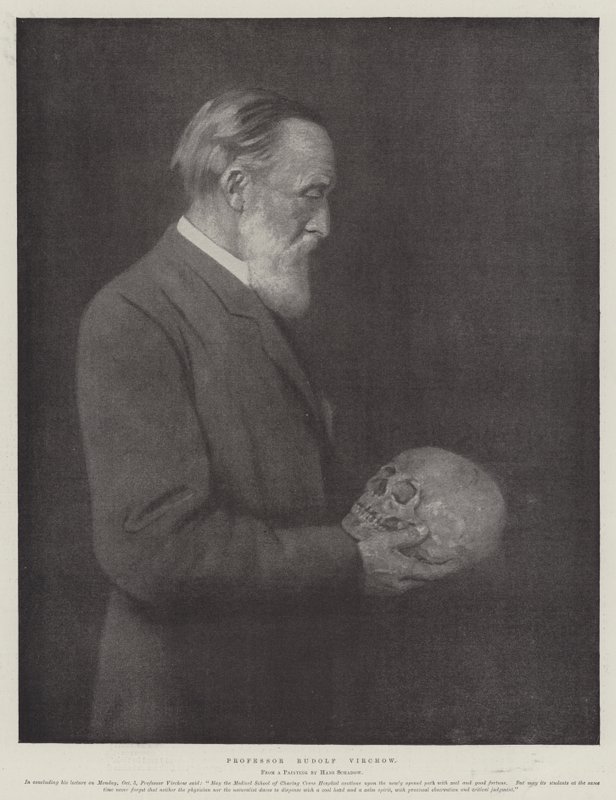 Professeur Rudolf Virchow - German School