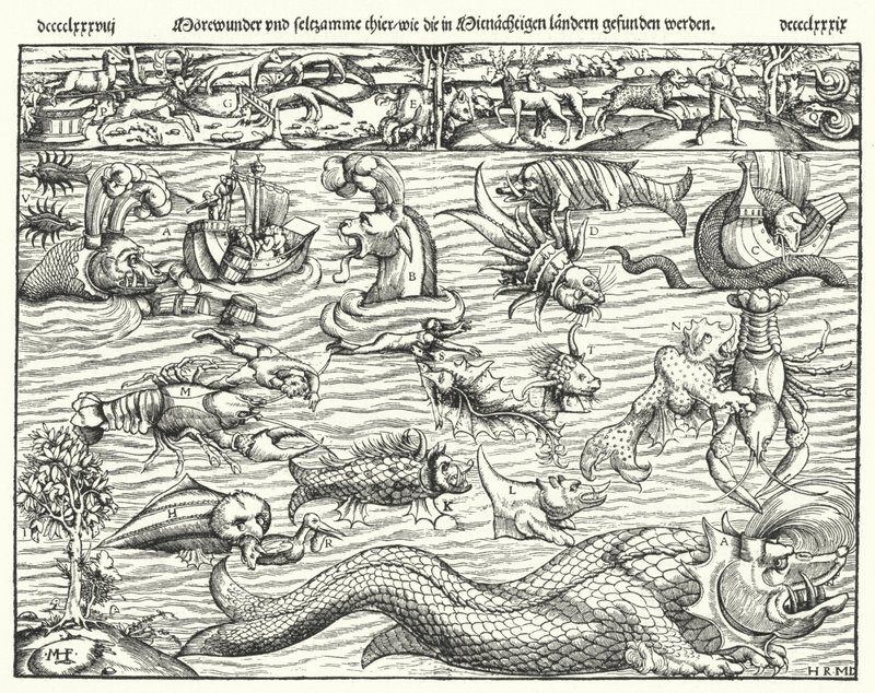Créatures marines - German School