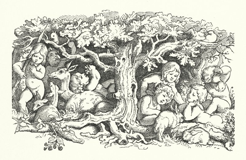 Les sept cygnes (gravure) - German School
