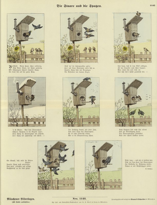 Les étourneaux et les moineaux - German School