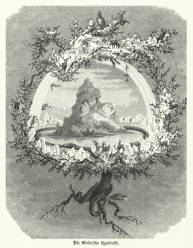 Yggdrasil, frêne mythique de la cosmologie nordique (gravure) - German School