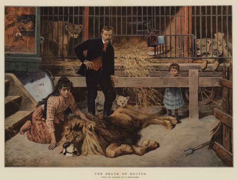 La mort de Brutus - Gustav Wertheimer