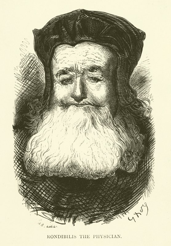 Illustration pour les œuvres de Rabelais - Gustave after Dore