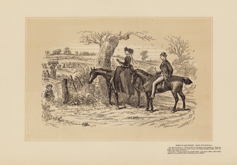 Un très beau champ pour la réflexion - Hablot Knight (1815 92) Browne