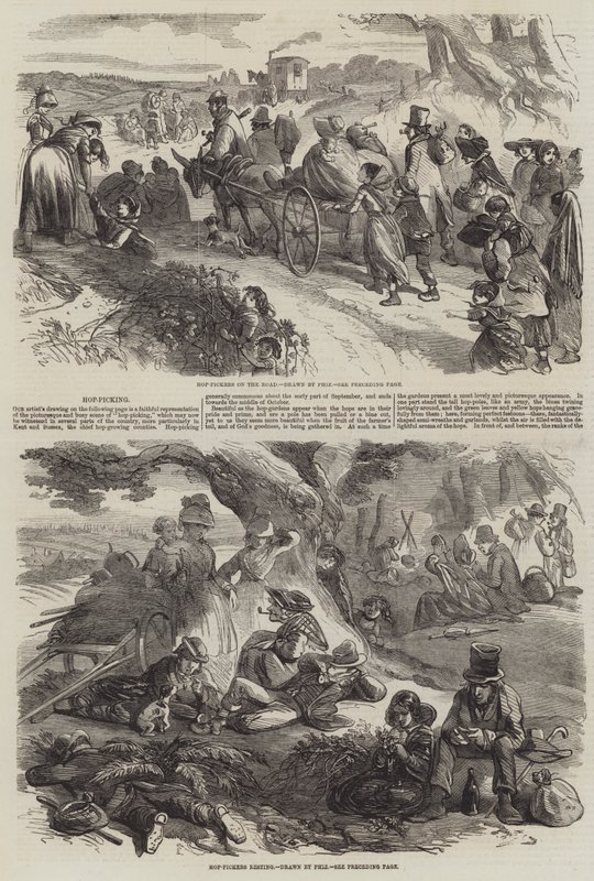 Cueillette du houblon - Hablot Knight Browne