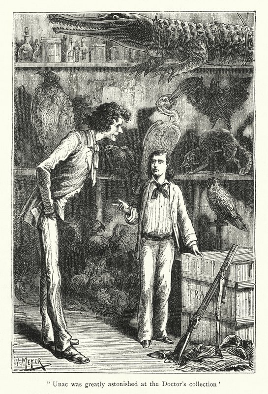 Unac était très étonné par la collection du docteur (gravure) - Hans (after) Meyer