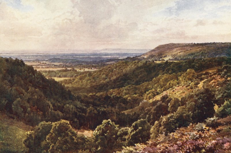 Depuis les collines au-dessus de Peaslake, près de Gomshall - Harold Sutton Palmer