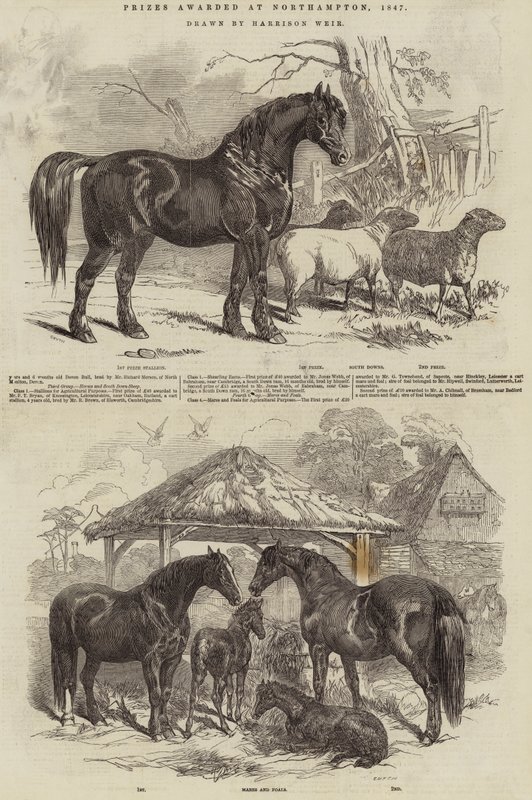 Prix décernés à Northampton, 1847 - Harrison William Weir