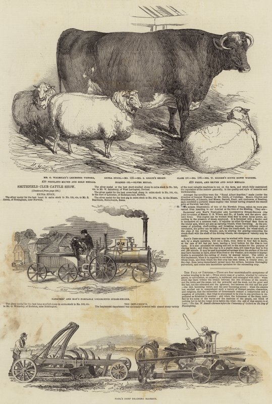Exposition de bétail du Smithfield Club - Harrison William Weir