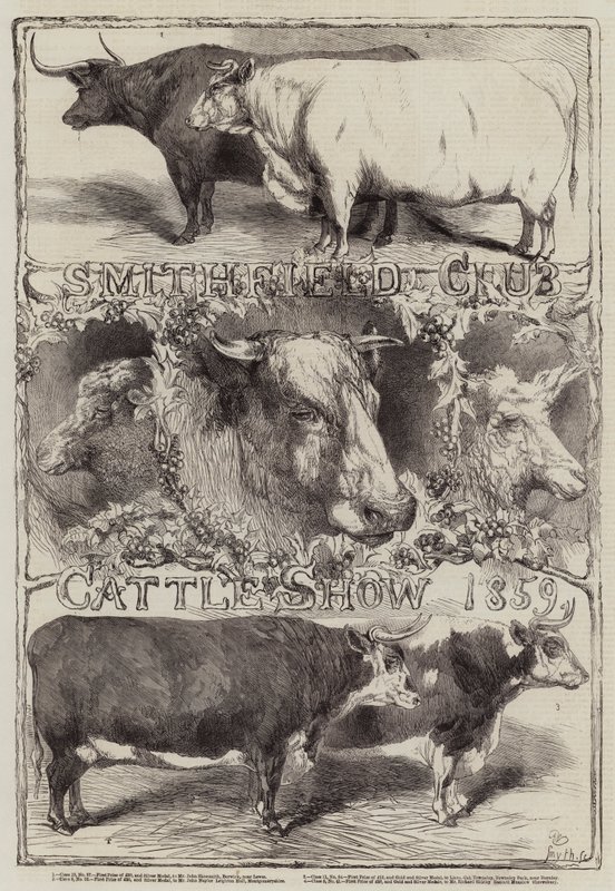 Exposition de bétail du Smithfield Club, 1859 - Harrison William Weir