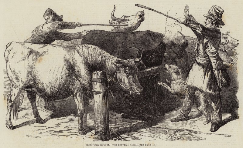 Marché de Smithfield, le Bâton du Conducteur - Harrison William Weir
