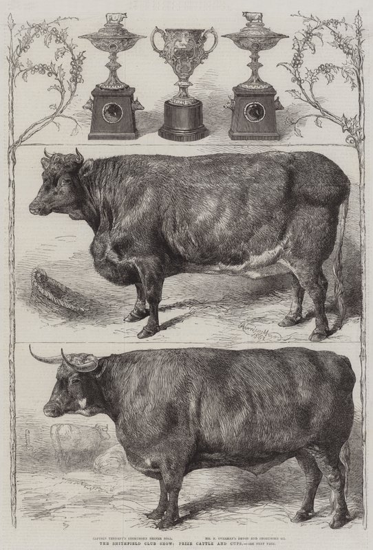 Exposition de bétail du Smithfield Club, bétail primé et coupes - Harrison William Weir