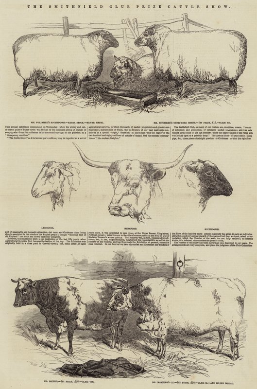 Exposition de bétail primé du Smithfield Club - Harrison William Weir