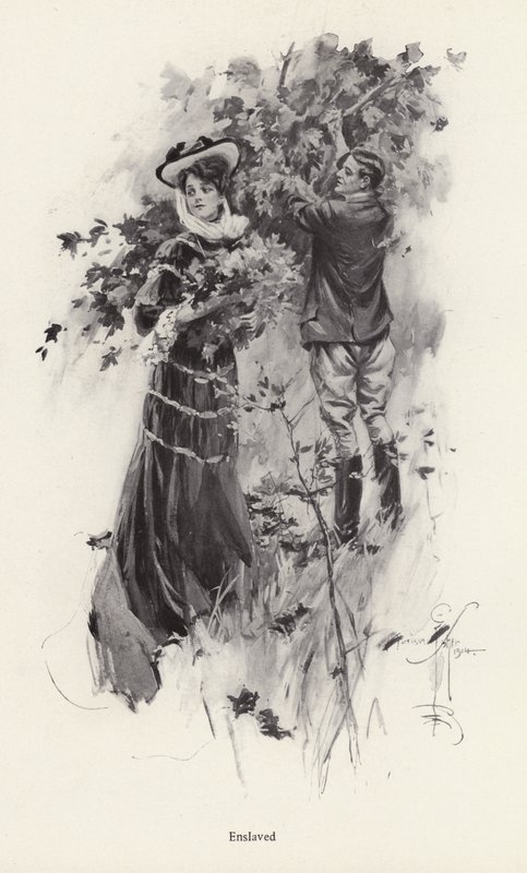 Femme cueillant des fleurs avec un admirateur masculin - Harrison Fisher
