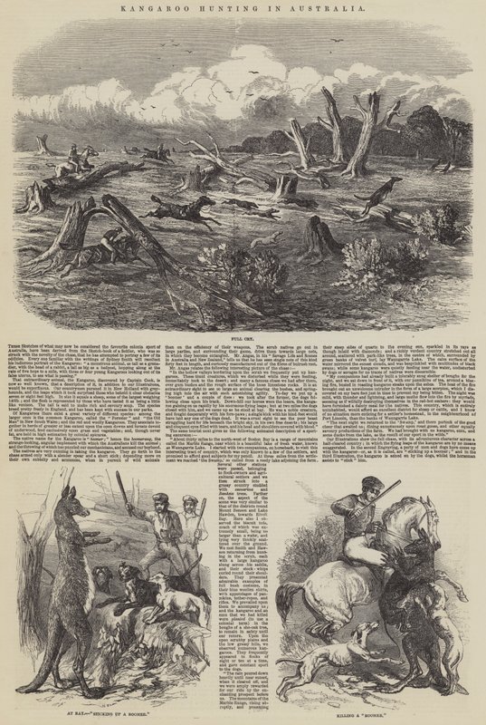 Chasse au kangourou en Australie - Harrison William Weir