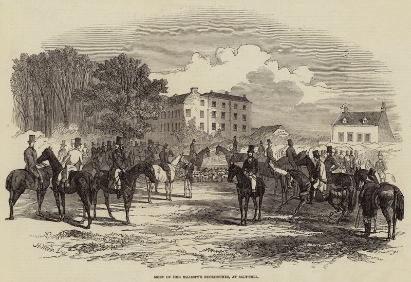 Rassemblement des chiens de chasse de Sa Majesté, à Salt-Hill - Harrison William Weir