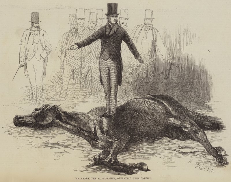 M. Rarey, le dompteur de chevaux, opérant sur Cruiser - Harrison William Weir