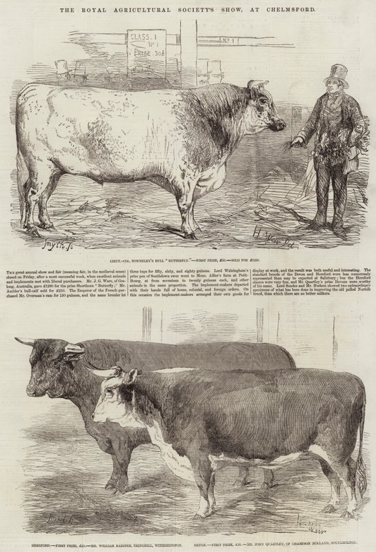 Exposition de la Société Royale d