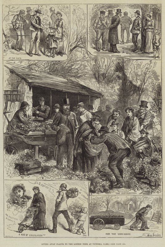 Distribution de plantes aux pauvres de Londres au parc Victoria - Harry Furniss