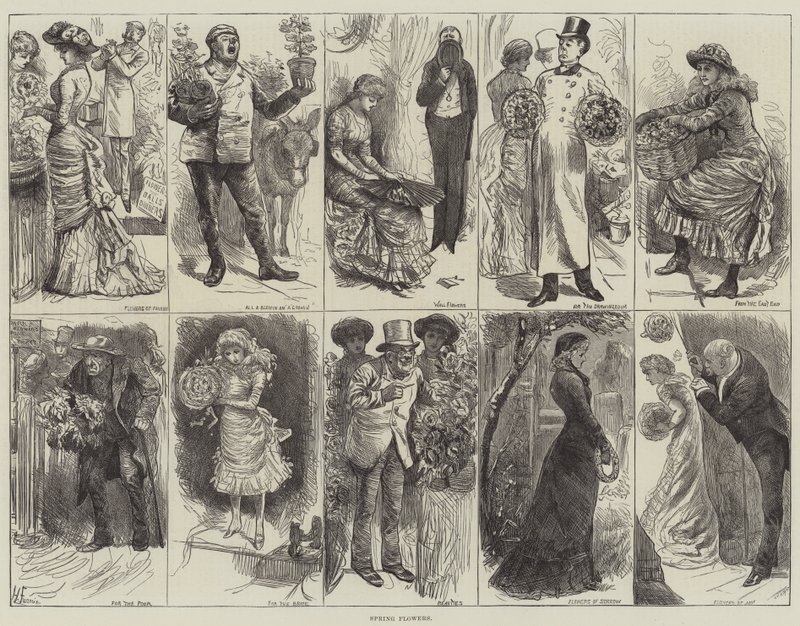 Fleurs de Printemps - Harry Furniss