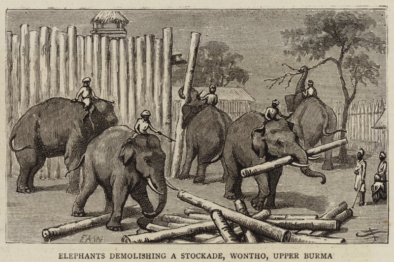 Éléphants démolissant une palissade, Wontho, Haute-Birmanie - Harry Hamilton Johnston
