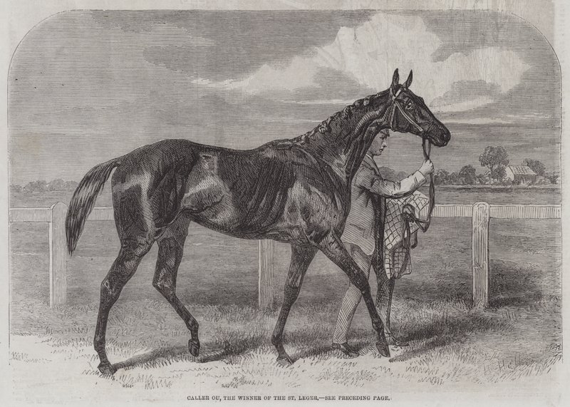 Caller Ou, le gagnant du St Leger - Harry Hall