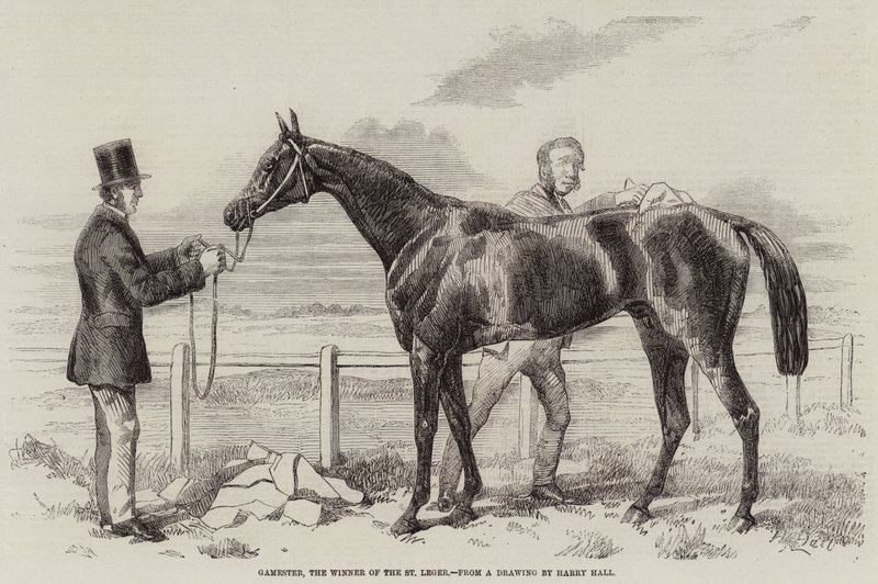 Gamester, le gagnant du St Leger - Harry Hall