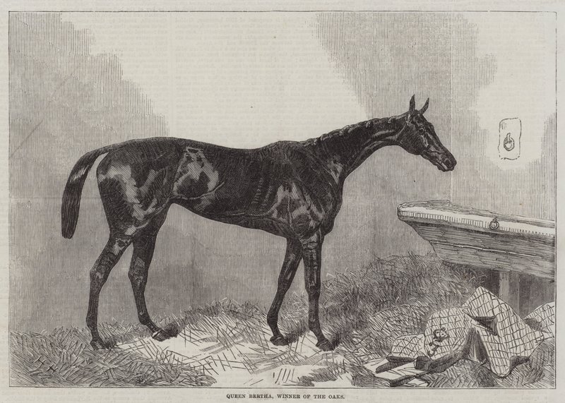 Reine Bertha, gagnante des Oaks - Harry Hall