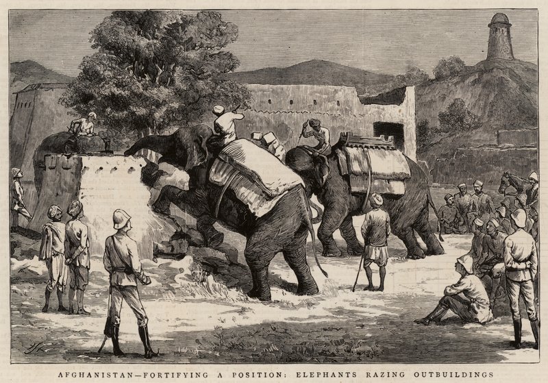 Afghanistan, fortifiant une position, éléphants rasant des dépendances - Harry Hamilton Johnston