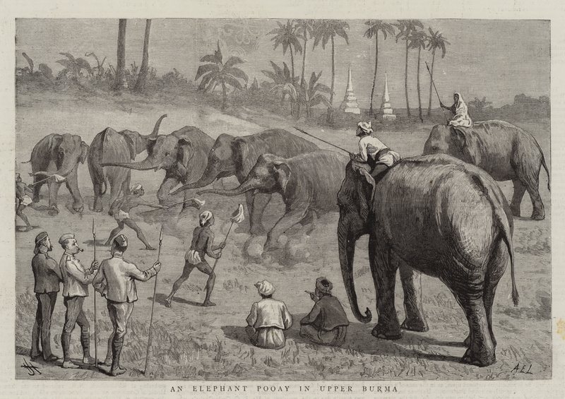 Un éléphant Pooay en Haute-Birmanie - Harry Hamilton Johnston