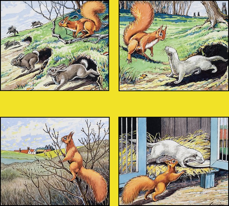 Petit écureuil rouge - Harry M. Pettit