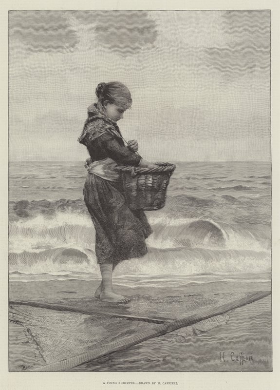 Un jeune pêcheur de crevettes - Hector Caffieri