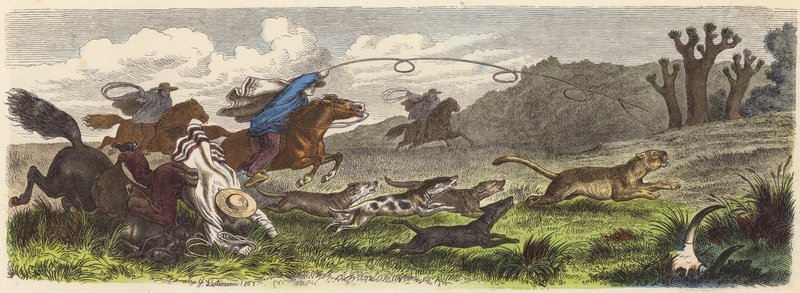 Chasse au puma avec des lassos au Brésil (gravure en couleur) - Heinrich Leutemann