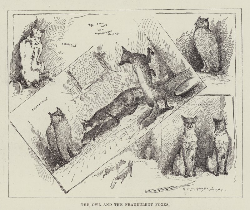 Le Hibou et les Renards Fraudeurs - Henry Charles Seppings Wright