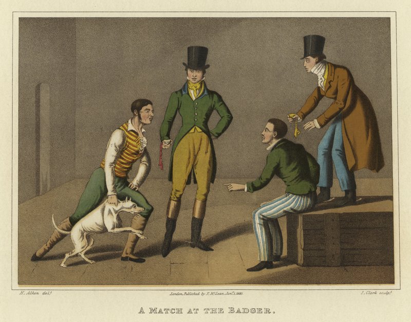 Un match au blaireau - Henry Thomas Alken