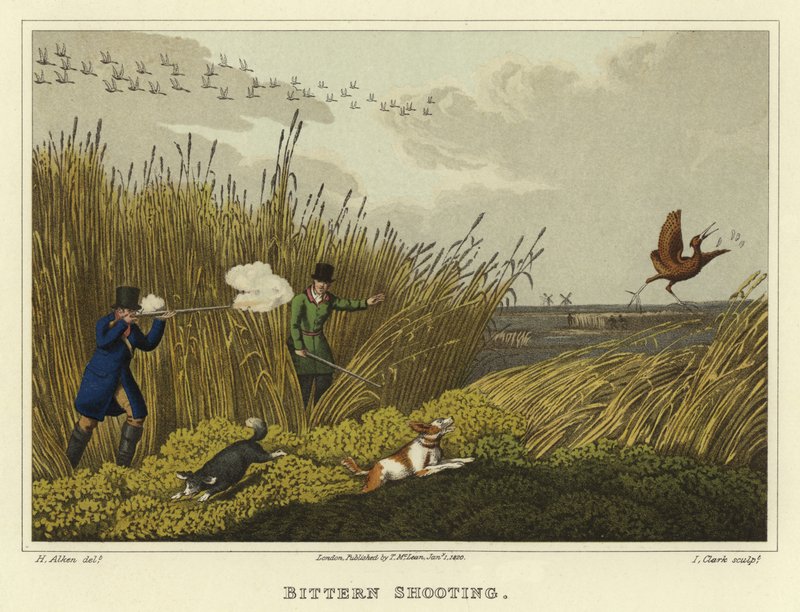 Chasse au butor (chromolithographie) - Henry Thomas Alken