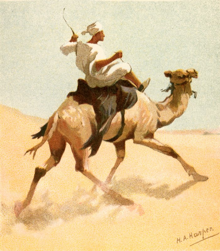 Un facteur arabe - Henry Andrew Harper