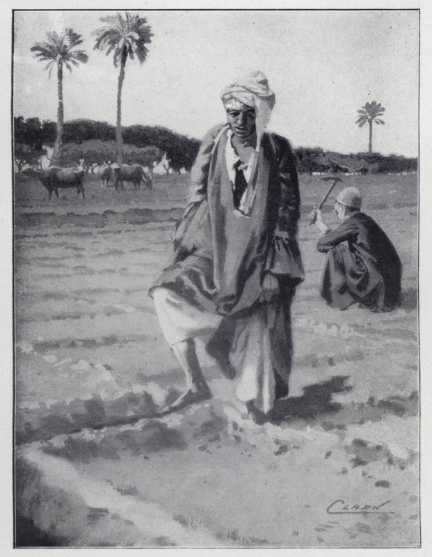 Arrosage avec le pied à Gizeh, Égypte - Henry Andrew Harper