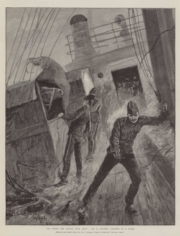 Il sent la bataille de loin, le cheval de Sir R Buller dans une tempête - Henry Charles Seppings Wright