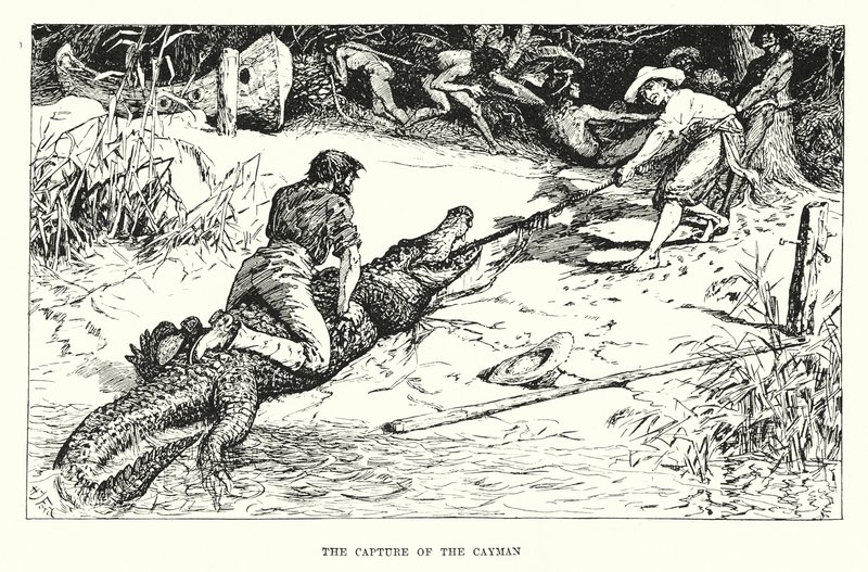 La capture du caïman - Henry Justice Ford